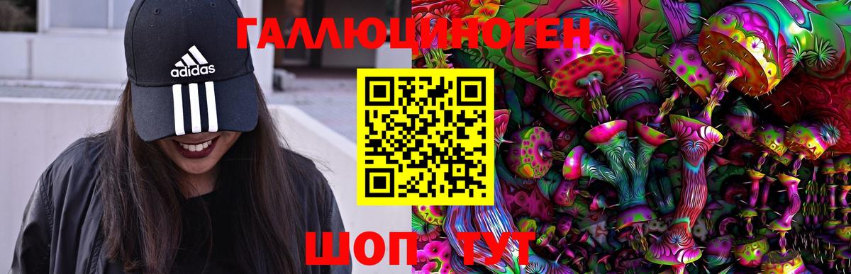 Псилоцибиновые грибы Psilocybine cubensis Семилуки